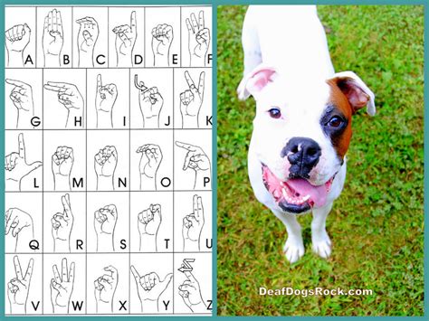 Printable Deaf Dog Sign Language